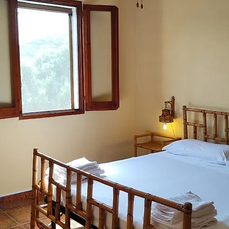 Giuny Solanas (Cagliari)